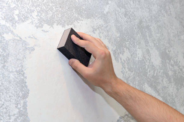 Best Basement Mold Removal  in Tlassee, AL
