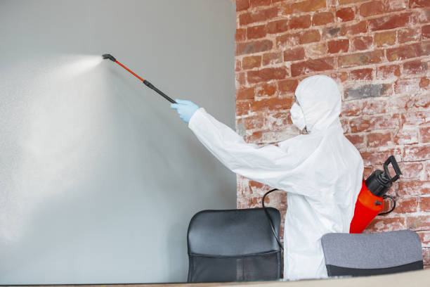 Best Mold Removal for HVAC Installations  in Tlassee, AL
