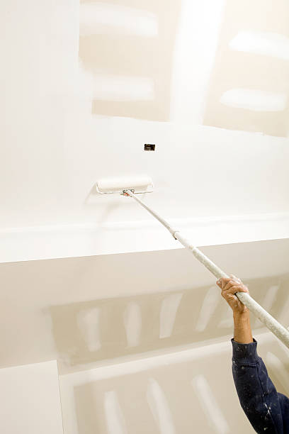Best Mold Damage Restoration  in Tlassee, AL