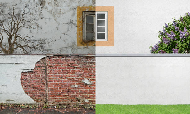 Best Environmental Consulting for Mold Prevention  in Tlassee, AL