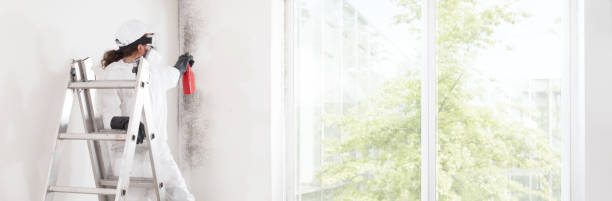 Tallassee, AL Mold Removal Company