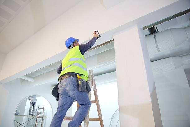 Best Attic Mold Removal  in Tlassee, AL
